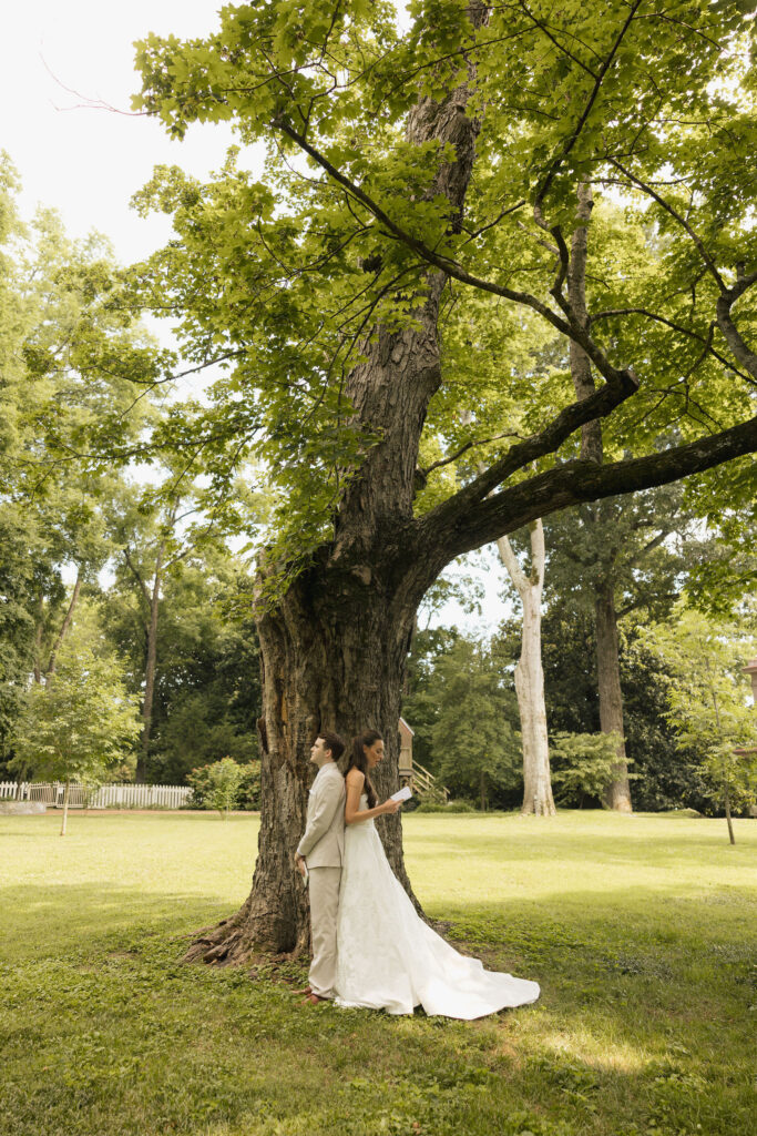 large tree with bride and groom